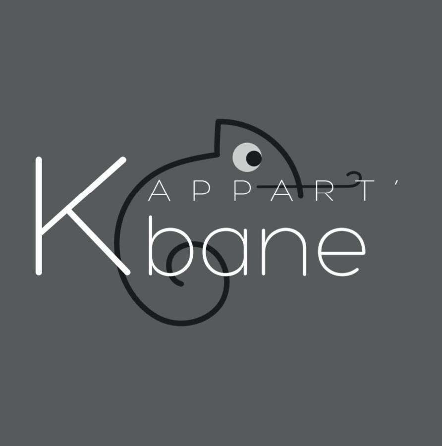 L'Appart K-Bane- Wifi Fibre- Checkin Auto- 2 Pers Le Mans Bagian luar foto